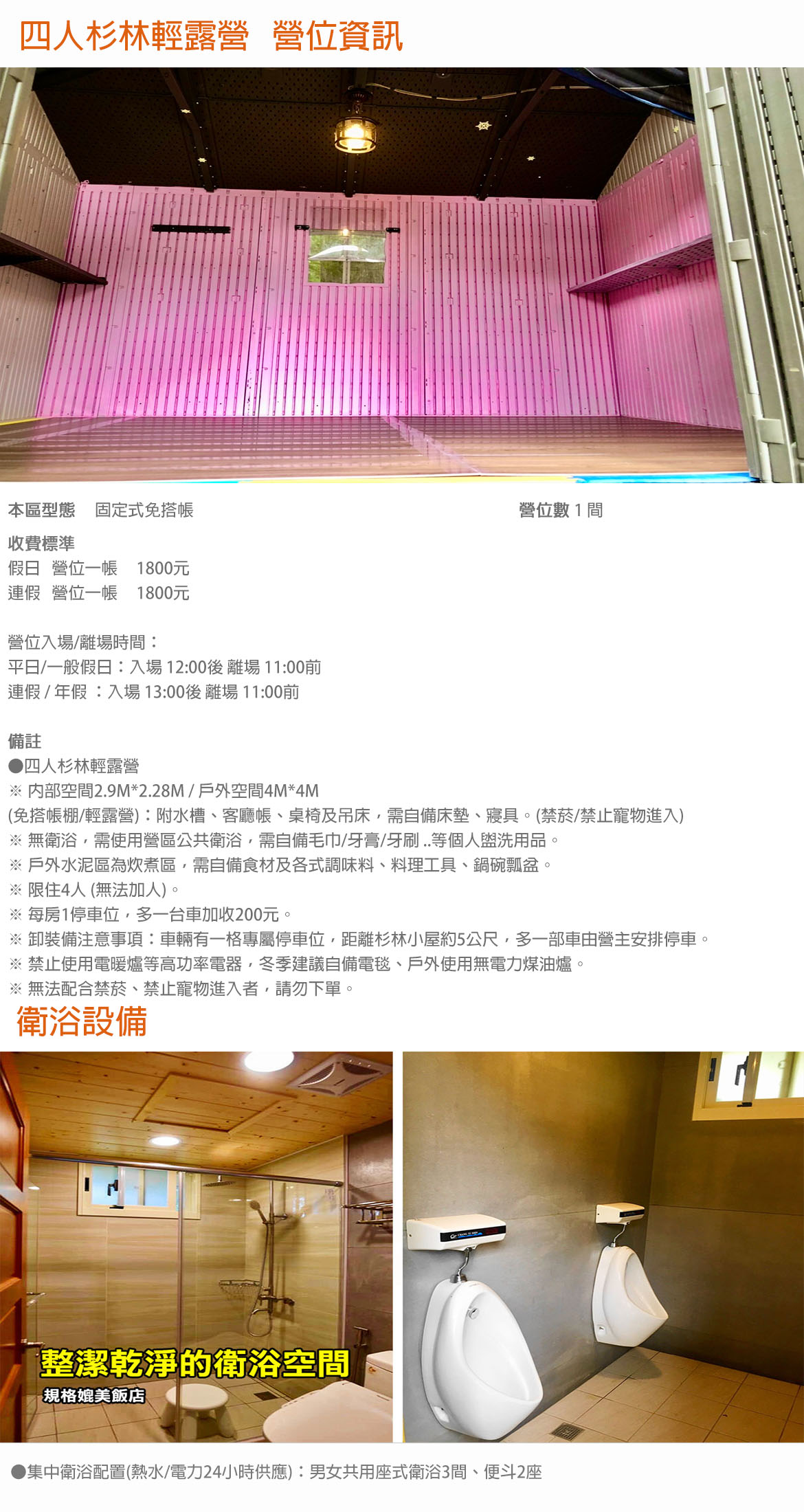 四人杉林輕露營