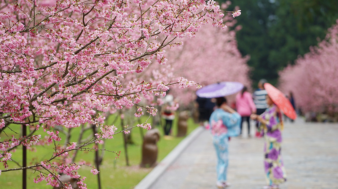 日月潭趴趴走必玩2大路線 上 日月潭路線區 帶你去露營 分享樂