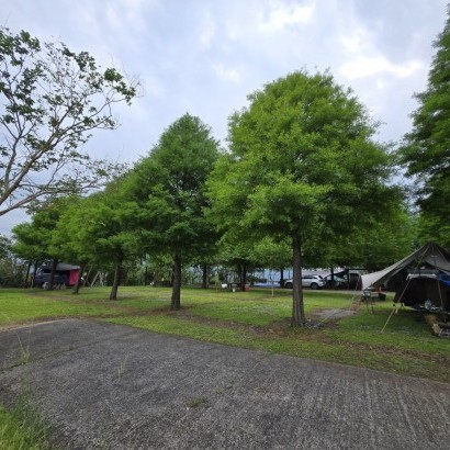 宜蘭大同 天際線茶園營地