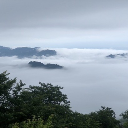 苗栗泰安 藍天嶺露營區