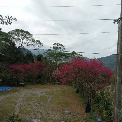 新竹尖石 歐莎露營區