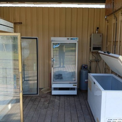 桃園復興 美腿山親子露營區