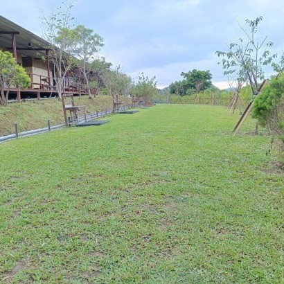 桃園復興 美腿山親子露營區