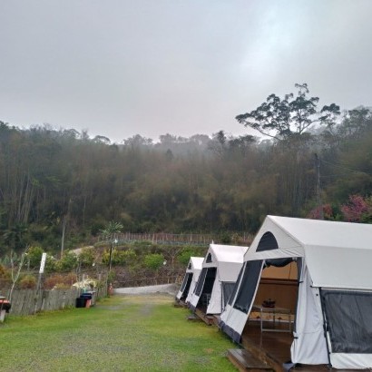 嘉義阿里山  晨光(狩獵帳)