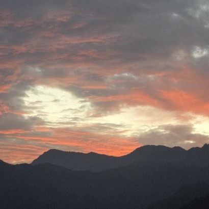 桃園復興 谷力農場(狩獵帳)