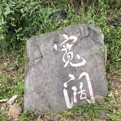 苗栗泰安 寬闊露營區(狩獵帳)