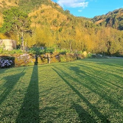 嘉義阿里山 牧匠露營區