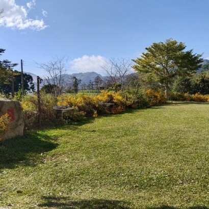 嘉義阿里山 牧匠露營區