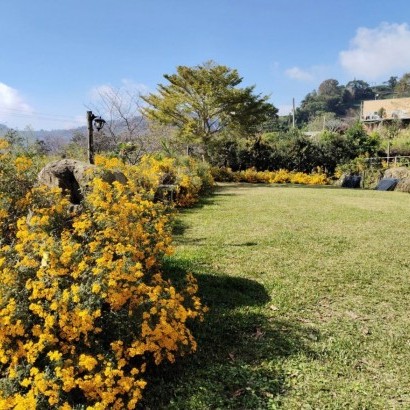 嘉義阿里山 牧匠露營區