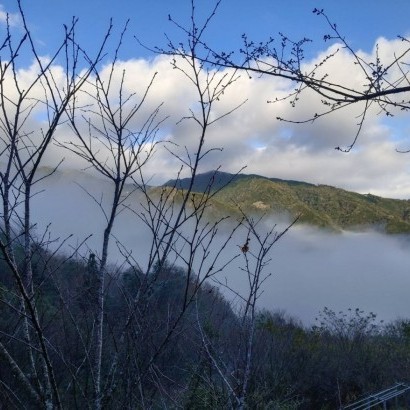 新竹五峰 憶起享露露營區