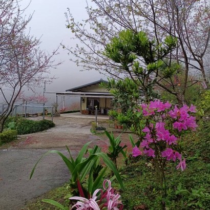 新竹五峰 憶起享露露營區