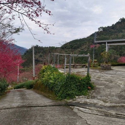 新竹五峰 憶起享露露營區