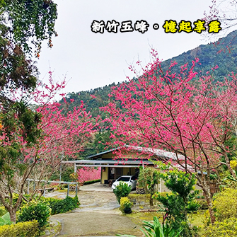 新竹五峰 憶起享露露營區