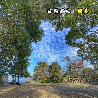 苗栗南庄 楓美露營區