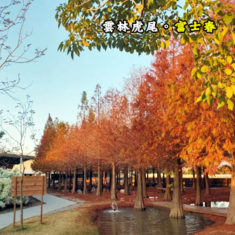 雲林虎尾 富士春休閒景莊