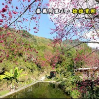 嘉義阿里山 拉拉克斯莊園