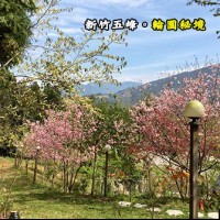 新竹五峰 輪園秘境