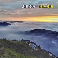 嘉義番路 淺山尋露(青峯製茶所)