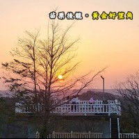 苗栗後龍 黃金好望角露營區