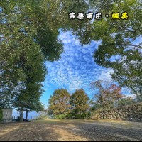 苗栗南庄 楓美露營區