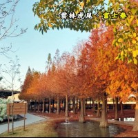 雲林虎尾 富士春休閒景莊