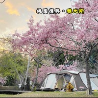 桃園復興 拉拉山 雅比斯露營區