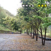 新竹尖石 玉峰 悠達思露營區