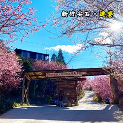 新竹尖石 司馬庫斯 達宴露營區
