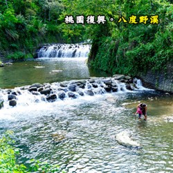 桃園復興 八度野溪(一般營位)