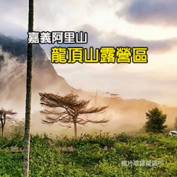 嘉義番路  阿里山 龍頂山(一般營位)