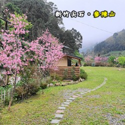 新竹尖石 參陳山內灣旅店營地