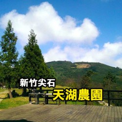 新竹尖石 梅花天湖農園