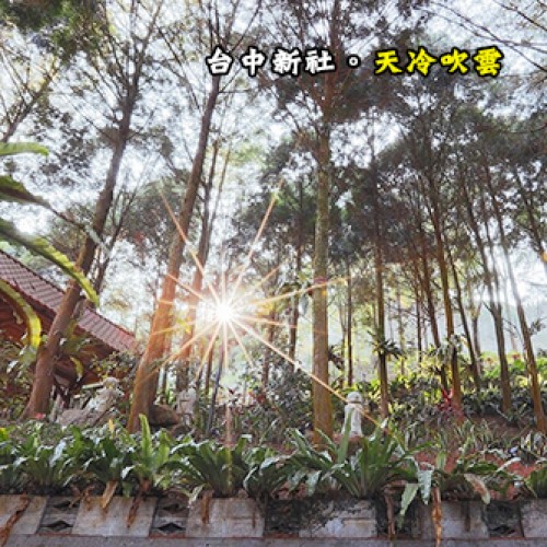 台中新社 天冷吹雲