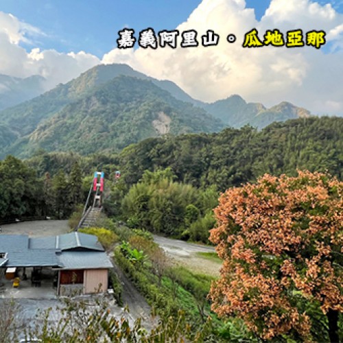 嘉義阿里山 瓜地亞那Gwaliana