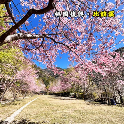 桃園復興 拉拉山 比該溪生態露營區