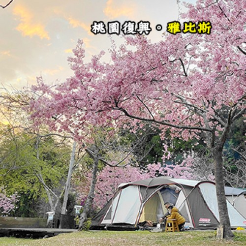 桃園復興 拉拉山 雅比斯露營區